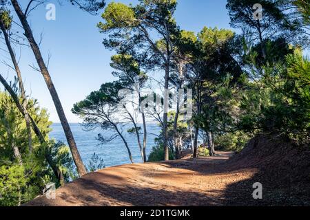 Senderismo en Volta des General, Paraje Natural de la Sierra de la Tramuntana, Banyalbufar, Mallorca, Balearen, Spanien Stockfoto