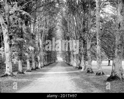 HIGHCLERE CASTLE, Hampshire. Blick auf die Dames Avenue in Richtung eines Tores im Park. Fotografiert von Henry Taunt (aktiv 1860 - 1922). Stockfoto