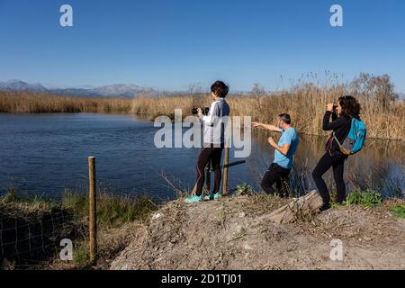 Amarador, albufera de mallorca, Mallorca, Balearen, Spanien Stockfoto