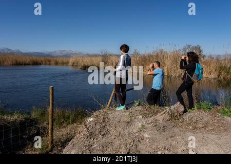 Amarador, albufera de mallorca, Mallorca, Balearen, Spanien Stockfoto