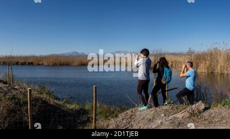 Amarador, albufera de mallorca, Mallorca, Balearen, Spanien Stockfoto