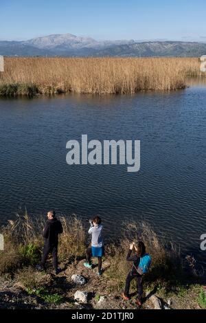 Amarador, albufera de mallorca, Mallorca, Balearen, Spanien Stockfoto