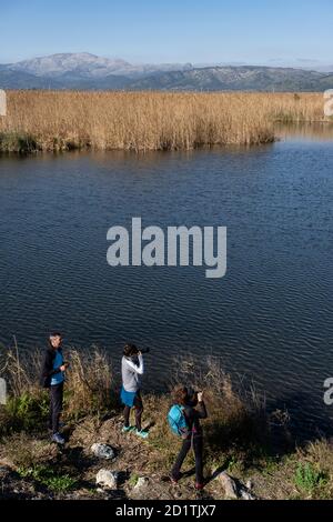 Amarador, albufera de mallorca, Mallorca, Balearen, Spanien Stockfoto