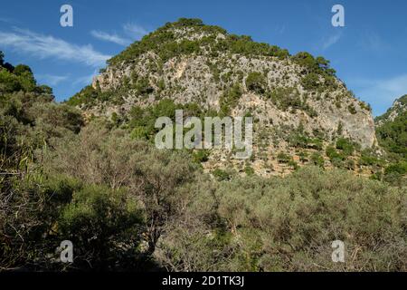 Puig den Escuder, 574 m, Rotes de Caimari, bien de interés cultural, Mallorca, Balearen, Spanien Stockfoto