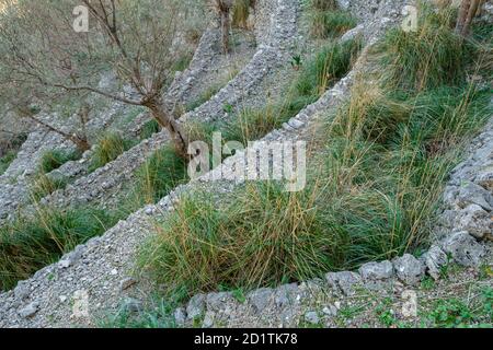 Rotes de Caimari, bien de interés cultural, Mallorca, Balearen, Spanien Stockfoto