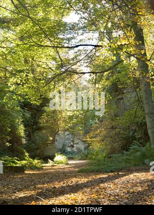 BELSAY HALL, CASTLE & GARDENS, NORTHUMBERLAND. Herbstlicher Blick auf den Steinbruch-Garten. Stockfoto