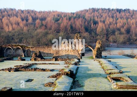 KIRKHAM PRIORY, North Yorkshire. Blick auf die Seite der Kirche auf den Kreuzgang West Range. Stockfoto