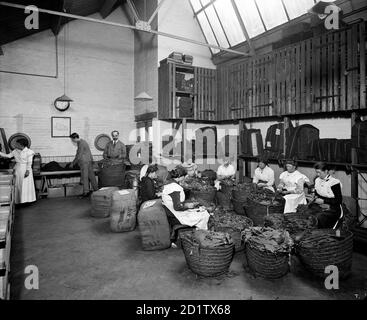 TEAFANI & CO WORKS, BRIXTON. Das Türkische Blatt Zimmer. Zigaretten und Tabak wurden als lebenswichtige Kriegsvorräte angesehen, und diese Arbeiterinnen tragen durch Blattpflücken zu den Kriegsbemühungen bei. Fotografiert von Bedford Lemere & Co im Oktober 1916. Stockfoto