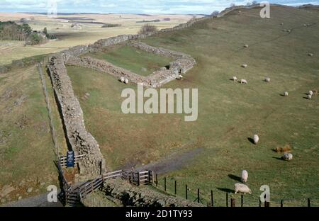 HADRIANS WAND: CAWFIELDS, NORTHUMBERLAND. Milecastle 42. Allgemeine Ansicht. Stockfoto