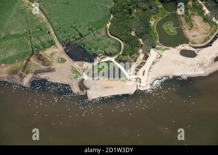Abbotsbury Swannery, Dorset, 2014. Luftaufnahme. Stockfoto