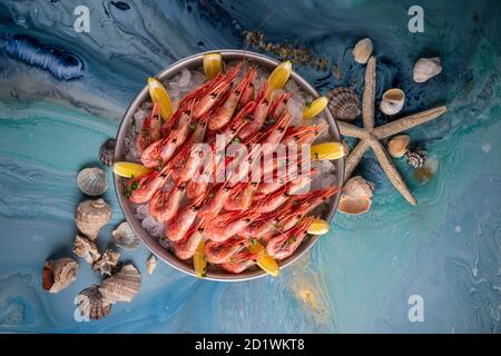 Rote Garnelen in einer Runde mit Eis und Zitrone. Bereit zum Essen. Speisekarte, Blick von oben auf Meeresfrüchte. Gekochte Riesengarnelen auf blauem Hintergrund. Stockfoto