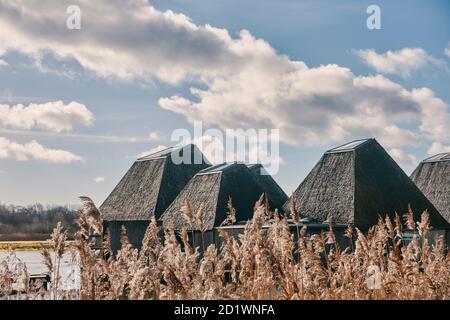 Außenansicht des Besucherzentrums Brockholes, Samlesbury, Lancashire, entworfen von Adam Khan Architects, fertiggestellt 2012. Stockfoto