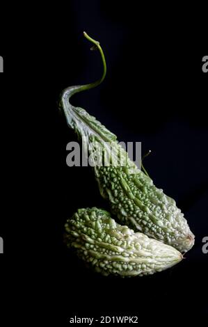 Bitteres Kürbis Gemüse auf einem schlichten schwarzen Hintergrund Stockfoto