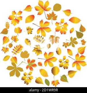 Herbst-Set von Ikonen. Die Blätter fallen. Eine Sammlung von Vektorsymbolen der Natur isoliert auf einem weißen Hintergrund. Stock Vektor