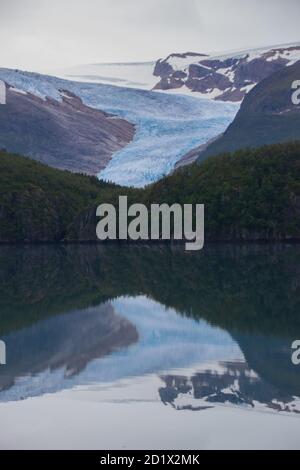 Svartisen Breen, Engabreen Stockfoto