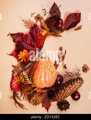 Autumn Concept Art - Sammlung von herbstlichen Objekten wie Kürbis, Blätter und Konker Stockfoto
