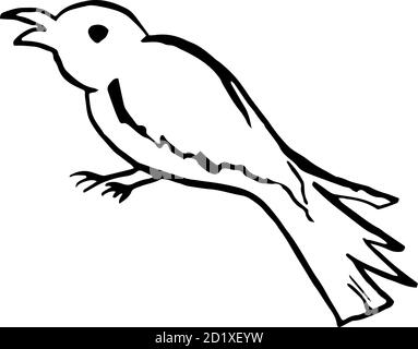 Halloween Doodle Krähe oder Elster Vogel Element. Isolierte Vektor-Illustration für Horror-Design Stock Vektor