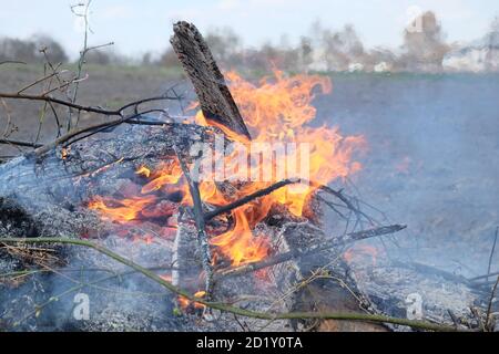 Großes Lagerfeuer im Freien. Ein Haufen Asche aus verbrannten Brettern und Ästen. Heiße Flamme. Stockfoto