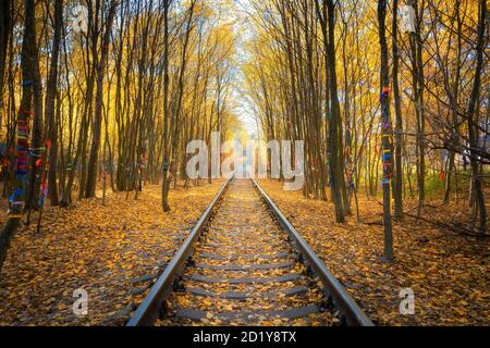 Schöne Eisenbahn im Herbstwald bei Sonnenuntergang. Industrie Stockfoto