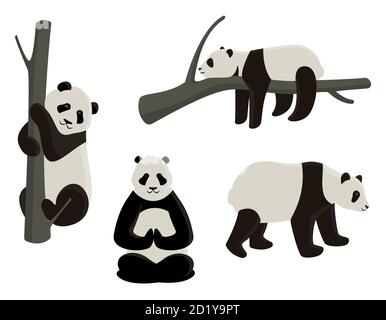 Vektor-Set von Pandas in verschiedenen Posen. Cartoon-Stil Illustrationen auf weißem Hintergrund isoliert. Stock Vektor