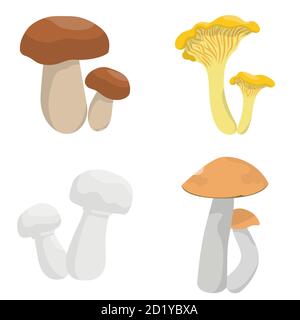 Vektor-Set von Pilzen. Pfifferlinge, Steinpilze, Champignon und Espenpilze im Cartoon-Stil isoliert auf weißem Hintergrund. Stock Vektor