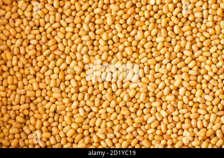 In der Nähe Schuss von Cowpeas, allgemein als Bohnen bekannt ist eine einheimische Hülsenfrüchte mit hohem Nährwert Stockfoto