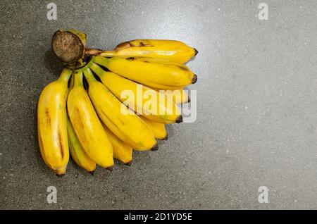 Ein Bündel gelbe Bananen. Studioaufnahme Stockfoto