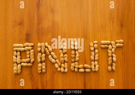 PNUT Buchstaben mit Erdnüssen auf braunem Hintergrund erstellt. Stockfoto