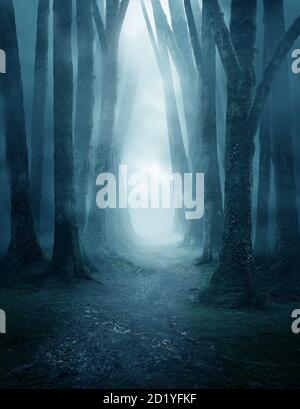 Ein dunkler und launischer Waldweg, der von Nebel bedeckt ist. Fotokomposit. Stockfoto