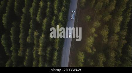 Auto und Tankwagen auf der Straße durch Kiefernwald in der Dämmerung, Luftaufnahme von Drohne pov Stockfoto