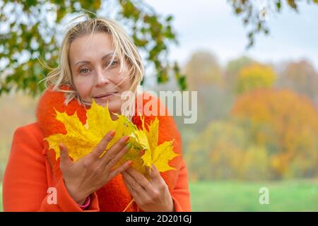 Frau mittleren Alters mit Wind winkenden Haaren in orange Mantel hält Herbst Ahornblätter in bunten Herbst Natur Hintergrund. Portrait der romantischen Frau Stockfoto