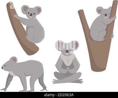 Set von Koalas in verschiedenen Posen. Vektor-Illustrationen im Cartoon-Stil isoliert auf weißem Hintergrund. Stock Vektor