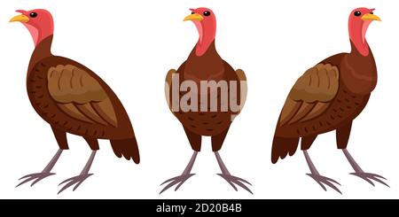 Türkei in verschiedenen Posen. Bauernhof Tier im Cartoon-Stil. Stock Vektor