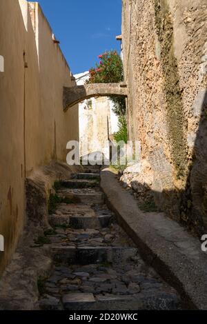 Weiß getünchte Gebäude in Lindos, Rhodos Stockfoto