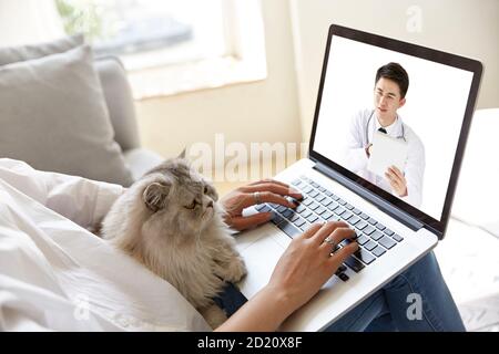 Junge asiatische Frau zu Hause mit Haustier Katze Beratung Ein Arzt per Videoanruf mit Laptop-Computer Stockfoto