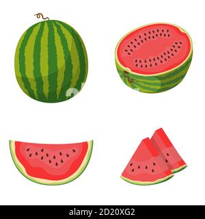 Ganz und in Scheiben geschnittene Wassermelone. Vektorset im Cartoon-Stil. Stock Vektor