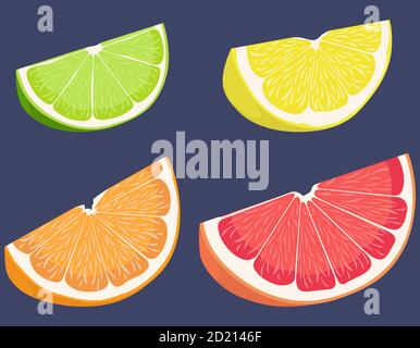 Set von Zitrusfrüchten. Zitrone, Limette, Orange und Grapefruit im Cartoon-Stil. Stock Vektor