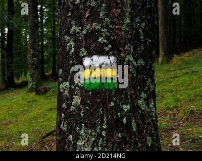 Wanderzeichen in einem Baum im Wald Stockfoto