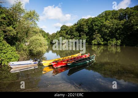 Kanus auf dem Harborne River, einem Nebenfluss zum Dart River in Devon, Großbritannien Stockfoto