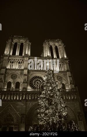 Weihnachtsbaum vor der Kathedrale Notre Dame am Abend. Paris, Frankreich. 2018 letztes Weihnachten vor einem Brand im April 2019. Alte historische Sepia Stockfoto