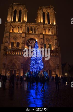 Weihnachtsbaum vor der Kathedrale Notre Dame am Abend. Paris, Frankreich. 2018 letztes Weihnachten vor einem Brand im April 2019. Touristen Silhouette Stockfoto