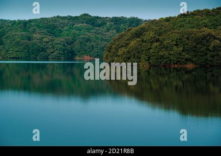 Bewaldete Hügel rund um Sayama See sind hinter Stacheldraht gesichert Zäune, um jeden menschlichen Kontakt mit der Flora und zu verhindern Die Fauna der Wälder so Stockfoto