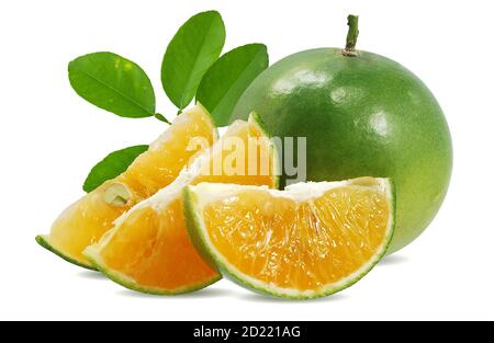Calamansi oder Grüne orange Früchte isoliert auf weißem Hintergrund Stockfoto