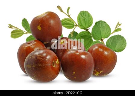 Jujube Frucht isoliert auf weißem Hintergrund Stockfoto