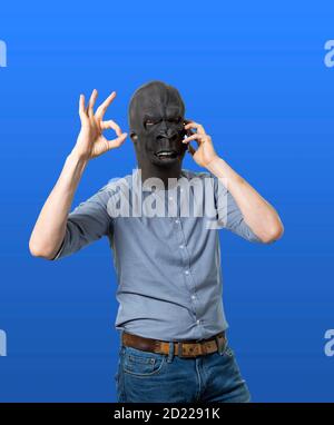 Mann in Gorilla-Maske, der am Handy spricht und das OK-Handzeichen gibt. Isolierter Ausschnitt auf blauem Hintergrund. Mittlere Aufnahme. Stockfoto