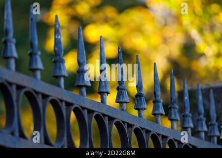 Schönes schmiedeeisernes Gitter im Park im Herbst Stockfoto