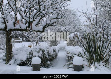 Eine schöne Landschaft Winter Schnee Szene von einem englischen Bio Landgarten gefrorenen eisigen Wetter weiße Schicht Abdeckung auf Birne Espalier Baumweg Rasen stieg Stockfoto