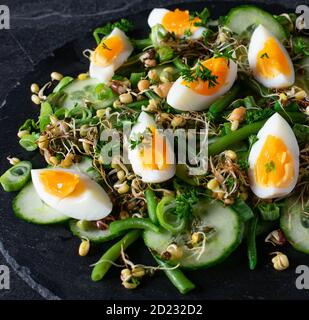 Vegetarischer Low Carb Salat mit grünem Gemüse, Eiern und Sprossen von oben Stockfoto