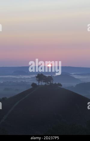 Colmer's Hill in Dorset, Großbritannien im Morgengrauen Stockfoto