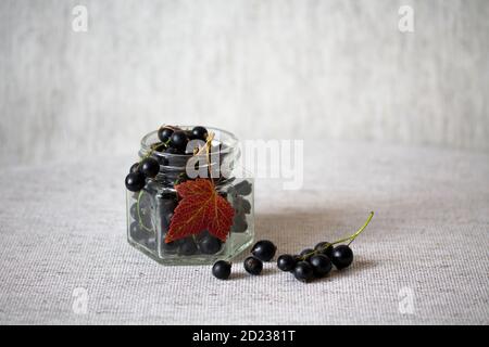 Schwarze Johannisbeeren im Glas. Frische Beeren mit Blättern und Stielen. Herbsternte. Bio-Lebensmittel. Stillleben Fotografie Stockfoto